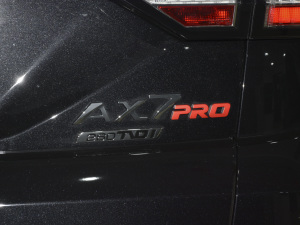 2021PRO 1.6T Զ˰ ϸ