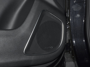 2021PRO 1.6T ԄӾ˰ g