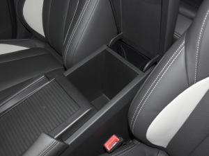 2021PRO 1.6T ԄӾ˰ g