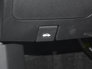 2021PRO 1.6T ԄӾ˰ g