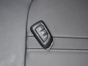 2021Ŀ 500 Pro   ܇耳