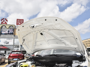 2021Ŀ 500 Pro   lәCœ