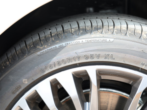 2021Ͱ  Ӱ ݆̥ߴ