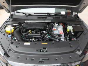 2021Ͱ  (dng) l(f)(dng)C(j)