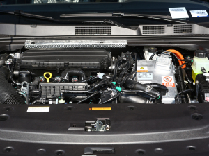 20211.5T ҹʥ棨ӣ lәC