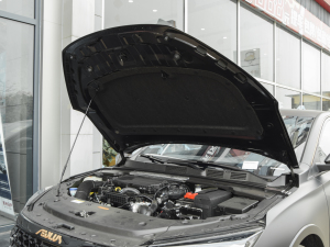 20211.5T ҹƕ԰ l(f)әCœ