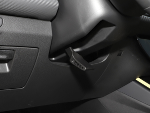 2021230T Ԅ(dng)׷ʿ п؅^(q)