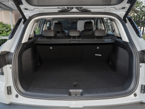 2022Rհ1.5T DCT DF51 g