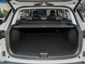 2022Rհ1.5T DCT DF51 g