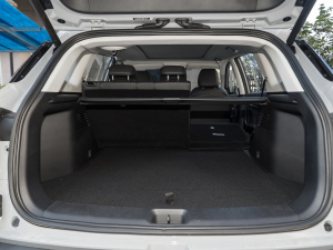 2022Rհ1.5T DCT DF51 g