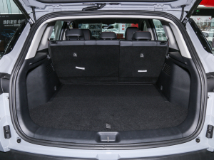 2022Rհ1.5T DCT DF31 g