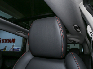 2022Rհ1.5T DCT DF31 g