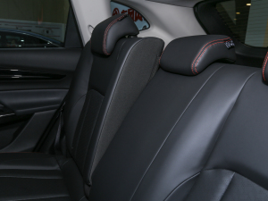 2022Rհ1.5T DCT DF31 g