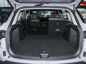 2022Rհ1.5T DCT DF31 g