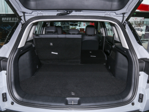 2022Rհ1.5T DCT DF31 g