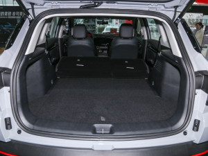 2022Rհ1.5T DCT DF31 g