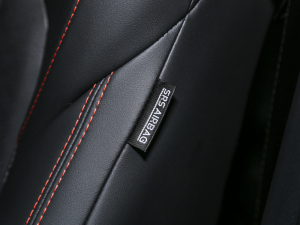 2022Rհ1.5T DCT DF31 п؅^