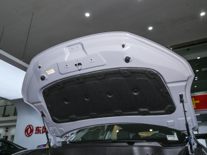 2022Rհ1.5T DCT DF31 lәCœ