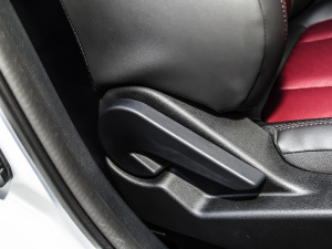 2022Rհ1.5T ք(dng) DF21 g