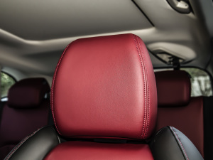 2022Rհ1.5T ք(dng) DF21 g