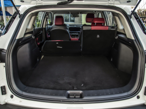 2022Rհ1.5T ք(dng) DF21 g