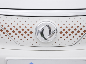 2021Ŀ 500  (x)(ji)^