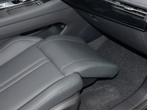 2022RՄ 1.5T а桤 g