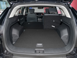 2022RՄ 1.5T а桤 g