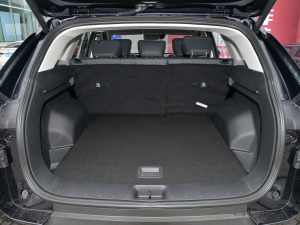 2022RՄ 1.5T а桤 g