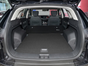 2022RՄ 1.5T а桤 g