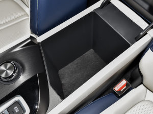 2022RՄ(dng) 1.5T 桤 g