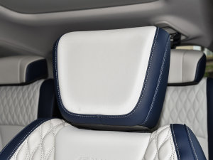 2022RՄ(dng) 1.5T 桤 g