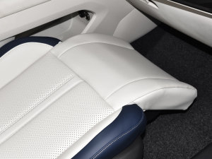 2022RՄ(dng) 1.5T 桤 g