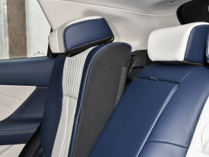 2022RՄ(dng) 1.5T 桤 g