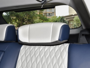 2022RՄ(dng) 1.5T 桤 g