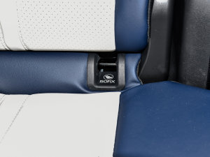 2022RՄ(dng) 1.5T 桤 g