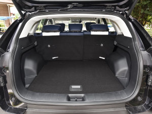 2022RՄ(dng) 1.5T 桤 g