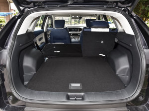 2022RՄ(dng) 1.5T 桤 g