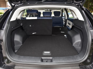 2022RՄ(dng) 1.5T 桤 g