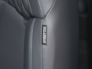 2022RՄ 1.5T 桤 п؅^(q)