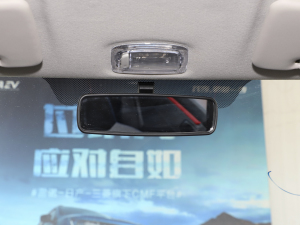2022款PRO 悦世型 车内后视镜
