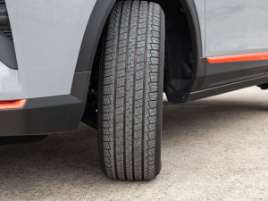 2023Rհ 1.5T DCT DF31 ^