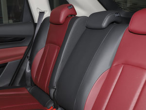 2023Rհ 1.5T DCT DF41 g