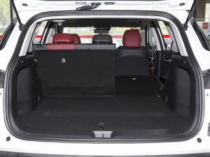 2023Rհ 1.5T DCT DF41 g