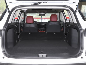 2023Rհ 1.5T DCT DF41 g