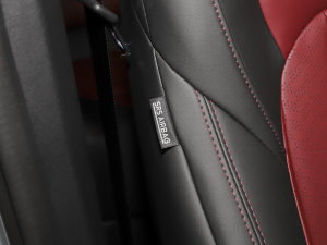 2023Rհ 1.5T DCT DF41 п؅^