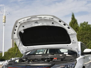 20231.5T Ͱְ lәCœ