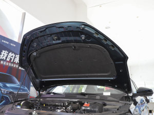 20231.5T ųְ lәCœ