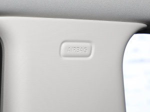 20231.5T ᳱְ п؅^