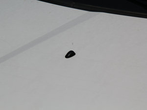 20141.5L ք(dng)ж (x)(ji)^